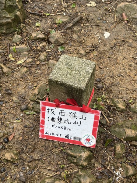 七上八下2713418