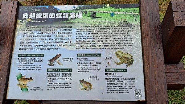 台北大縱走第一段1249219