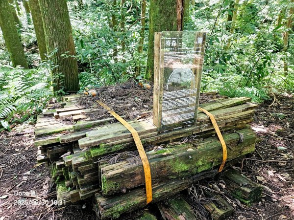 桃園小百岳東眼山(H1212m)2844622