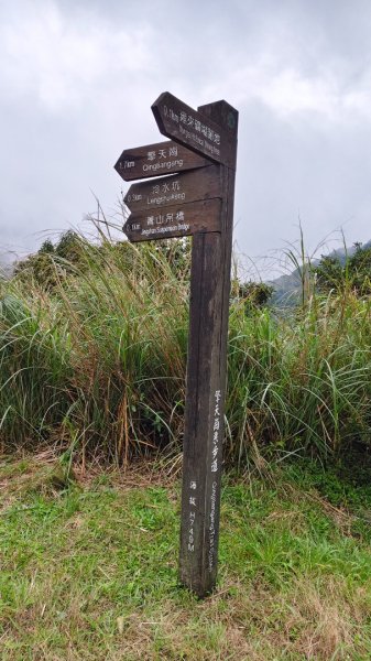 陽明山輕鬆走2991971