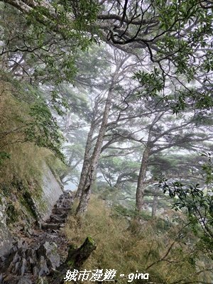 【南投信義】排雲山莊 x#15百岳_玉山西峰3111635
