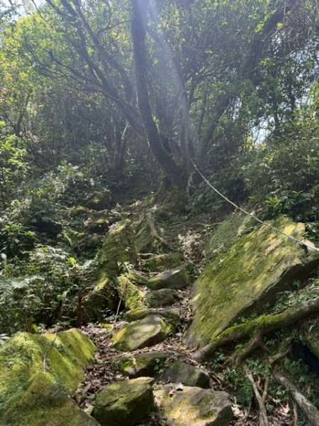 20250502 安坑七山2775105