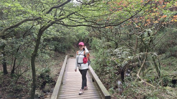 (姨婆趴趴走)第五十一集:台北冷擎步道、金包里大路(魚路古道)2757247