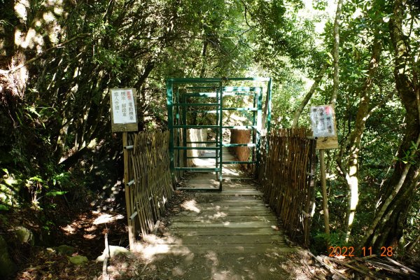 新竹 尖石 司馬庫斯-巨木群步道1932839