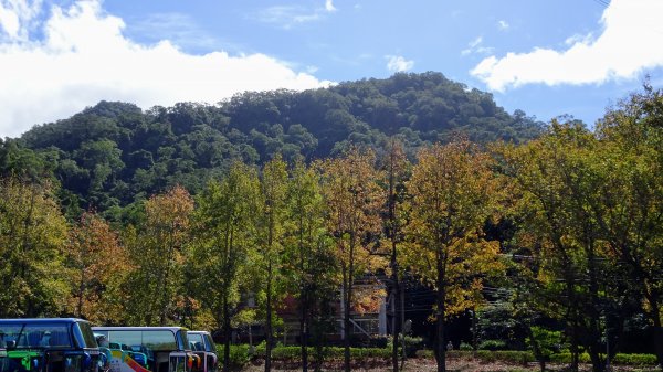 百吉,頭寮山,石龜坑山,打鐵寮1189622