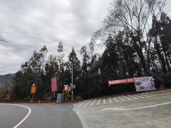立鷹山森林步道2701099