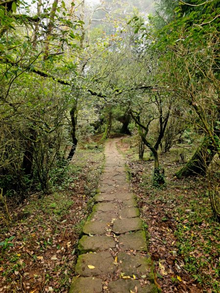 2025臺北大縱走第三段：小油坑至風櫃口2973469