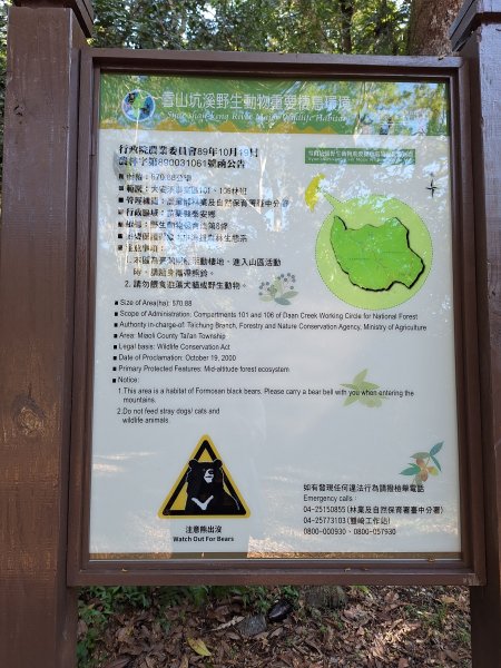 泰安麻必浩林道南坑山O型202502282724661