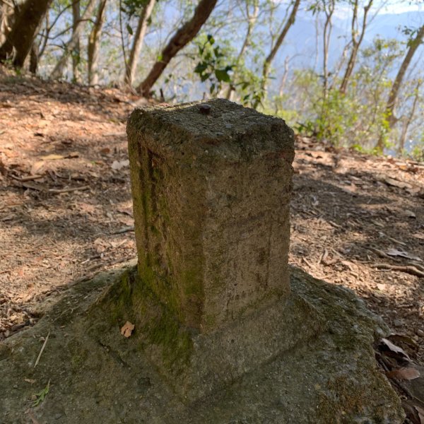 20260207南投雨後頭縱走2998106