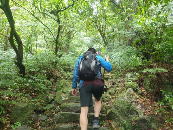 臺北大縱走第四段1515941