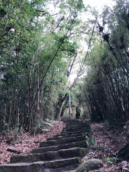 ~ 中 正 山 步 道 ~2782706