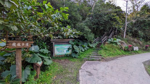 望龍埤,鎮頭山,蜊埤湖2391881