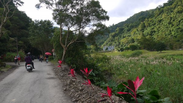 三層坪農塘教育園區登山健行趣1549019