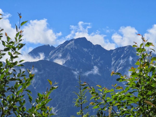 卯木山 （合歡越嶺古道）拜訪山頂森林瞭望台1462281