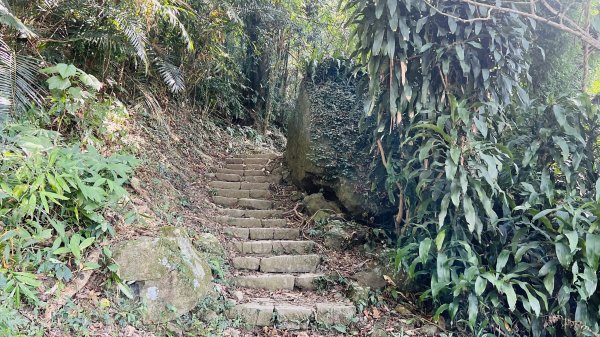 [台南東山]崁頭山步道|林蔭巨石木棧道視野遼闊的親子簡單輕鬆步道|優雅竹林圍繞三角點清幽野餐1603463