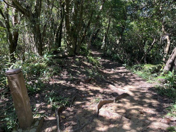 [微笑山線_第九段] 2025_0914 二格山系_皇帝殿東峰2889528