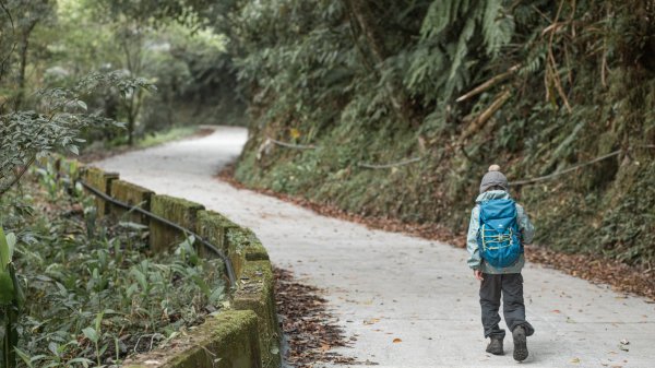 桶後林道0-7K往返（8歲親子）2453449