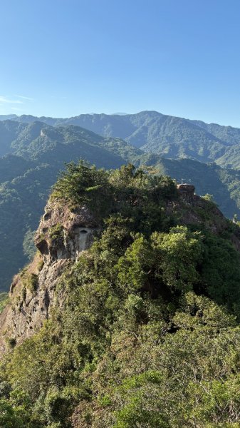岩壁上的花、艷紅鹿子百合（12868989