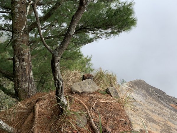 【嘉義】新阿溪縱走(DAY1－阿里山眠月線鐵路)