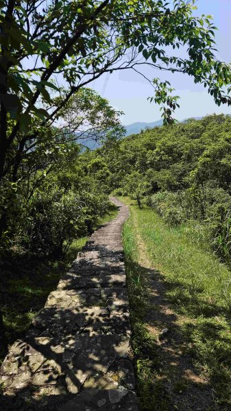 20250430石碇大崙-630峰-獵狸尖-旗子腳山2773926