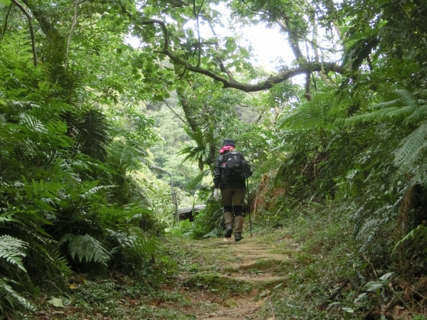 白鷺鷥山．康樂山．牛稠尾山96389