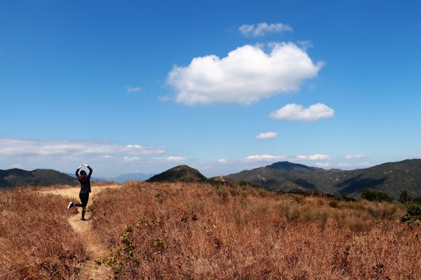 HK - 長山、太墩1458002