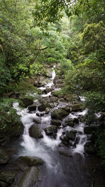 滿月圓國家森林步道1041866