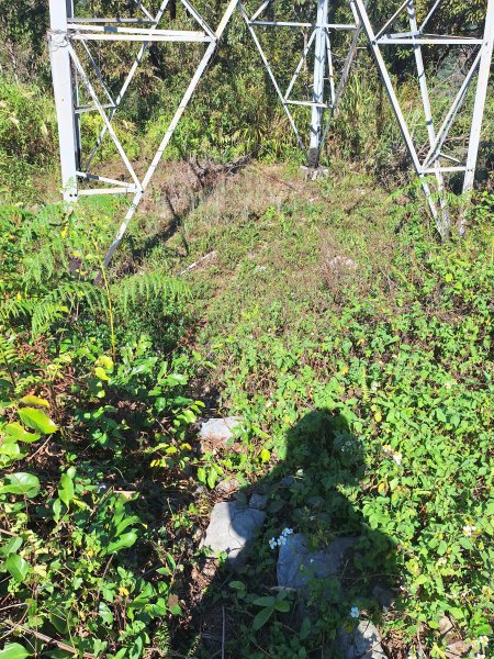 上谷關山202511202940858