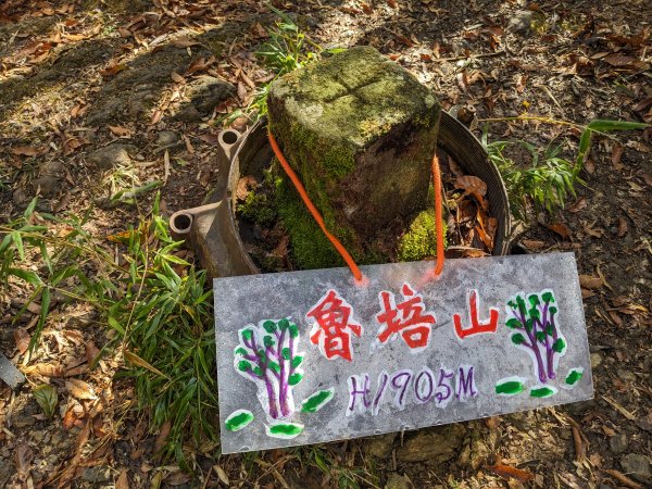 魯培山南插天山2357477