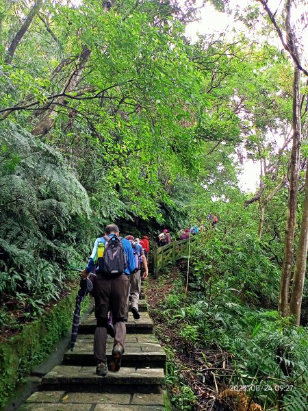 #014 望高寮土庫岳 H389m、更寮古道【走路趣尋寶、小百岳集起來】2261093