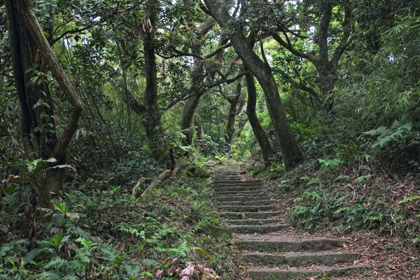 清天宮.面天山.向天山.向天池山.興福寮365080