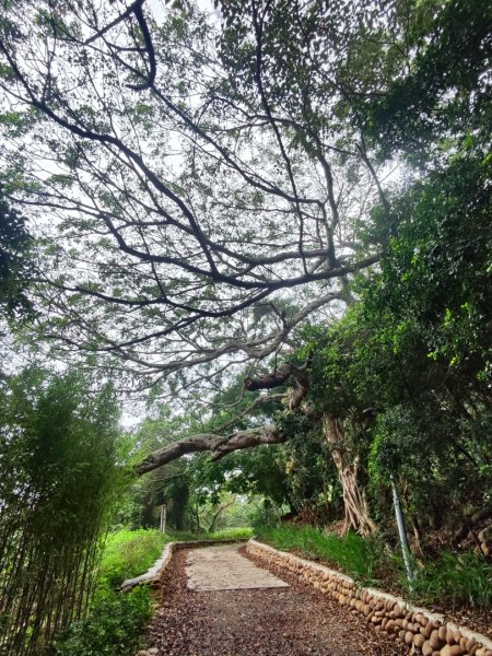 台中大甲鐵砧山2769473