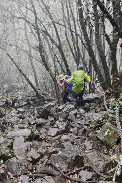 【這樣走波津加也行！】大雪山下波津加進谷關。3025954