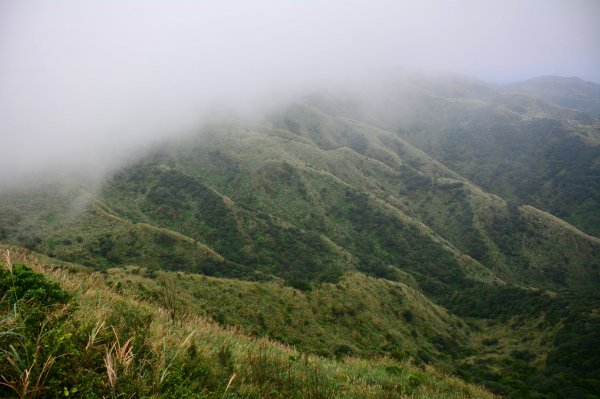 茶壺山O型賞芒1194005