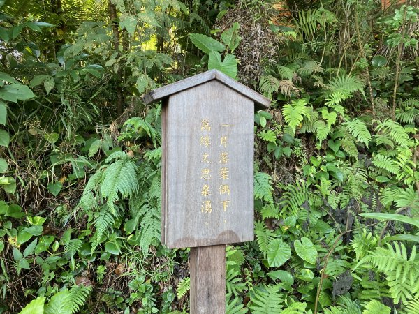 臺北大縱走第七段：捷運麟光站至飛龍步道1769172
