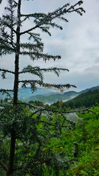 112.04.08 油羅山2123546