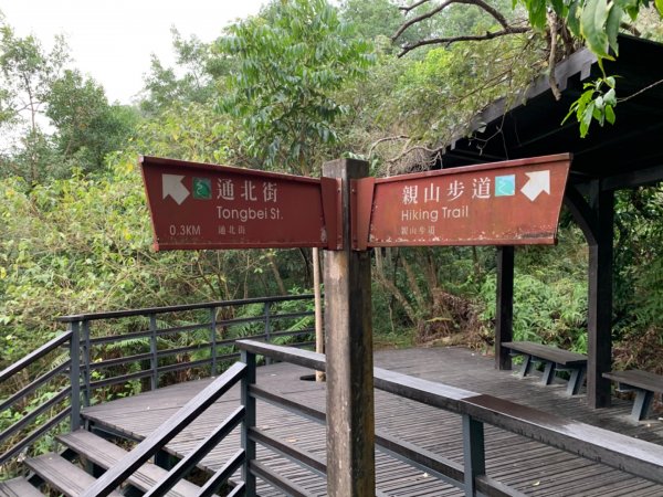 劍潭山（小百岳）830389