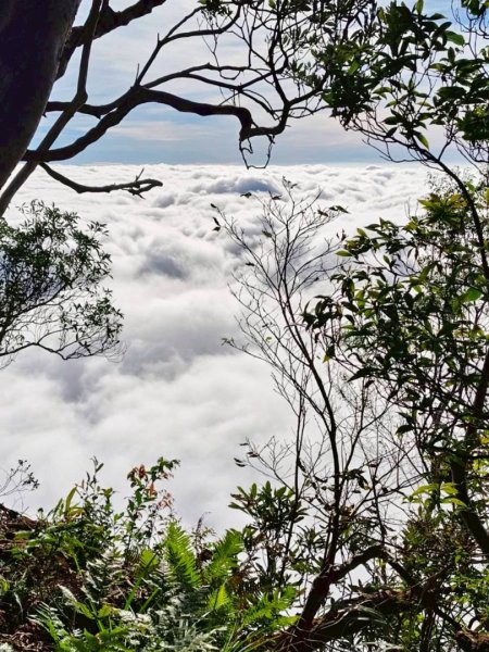 20251106北大武山步道☁️ 喜多麗雲海2931339