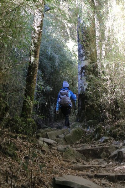 缺哩の雪山主東單攻2568772