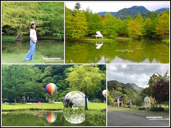 苗栗南庄。雲水溫泉渡假村浪漫包場賞落羽松