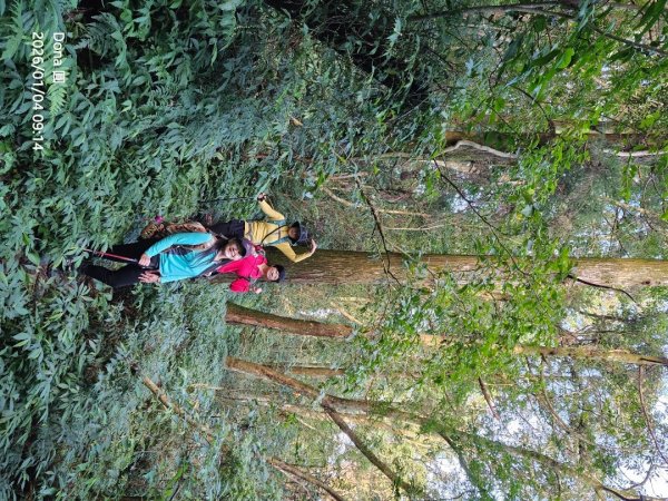 20260104源茂山.源茂山西峰.和尚髻山O走+親水觀魚步道2977692