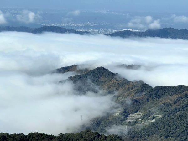 騰龍山-橫龍古道-橫龍山 202411232652976