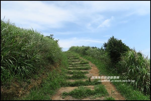 南子吝步道。360度無敵山海美景394663