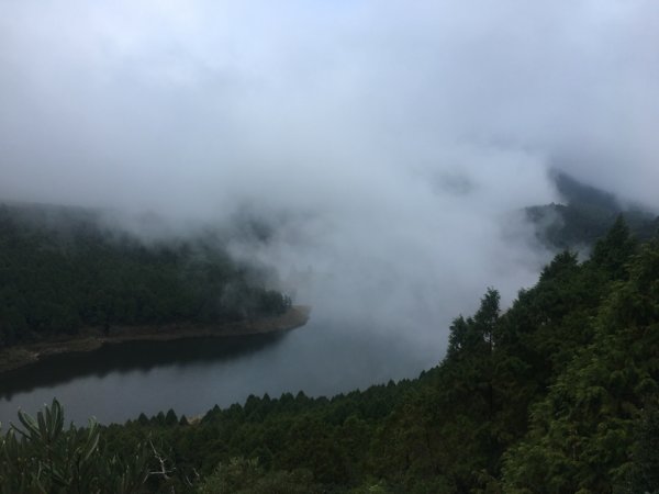 太平山台灣山毛櫸步道、魔幻森林、翠峰湖、望洋山2336519