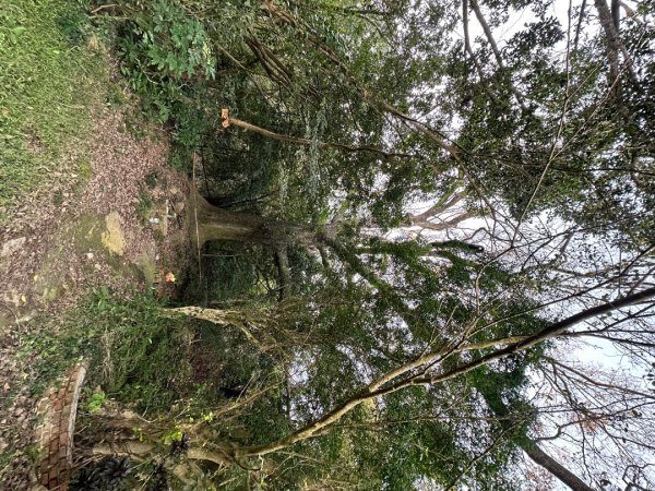 新竹新埔-蓮華山古道2628605