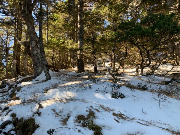 雪山主東賞雪行797719