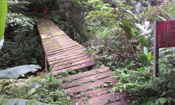 蓬萊仙島_石牛山_油井窩山O型201404301959936