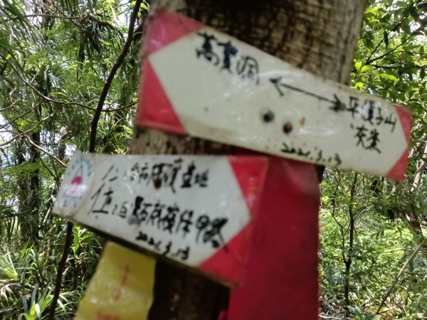 平溪區平溪子山遇雷雨O型2850125