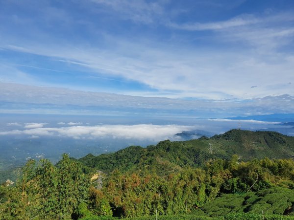 【雲嘉茶園之美】後棟山連走大二尖山1532198