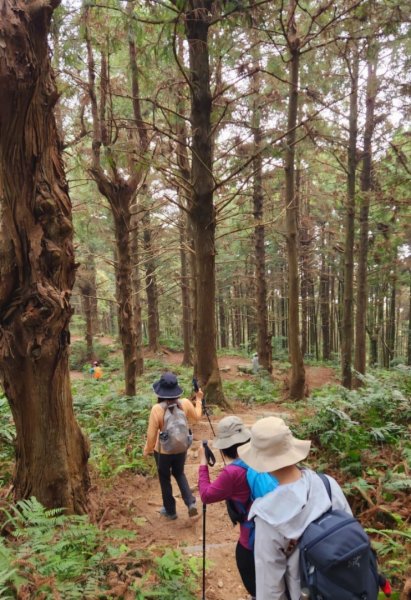 【中級山縱走】最美中級山，鳶嘴西稜縱走（鳶嘴山，醜崠山，長壽山）2741365